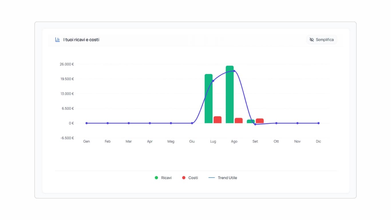 Grafico completo che mostra i dati al hover per ogni mese (costi, ricavi e saldo)